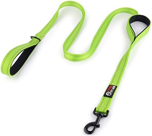 Primal Pet Gear Dog Leash 6ft Long, Traffic Padded Two Handle, Heavy Duty by PrimalPetGear