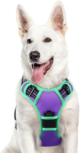Eagloo Dog Harness for Large Dogs, No Pull Pet Vest by GoExplorewithEagloo