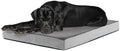 BarkBox Orthopedic Dog Bed by BARK