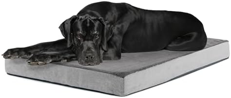 BarkBox Orthopedic Dog Bed by BARK