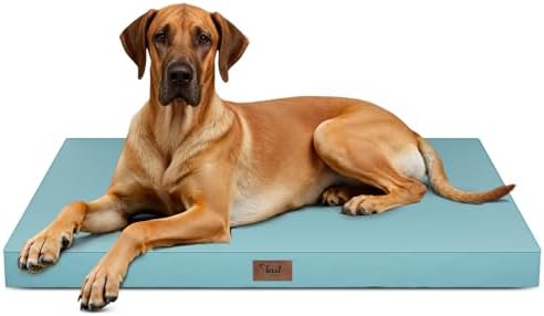 Jumbo Waterproof Orthopedic Dog Bed by TailStories