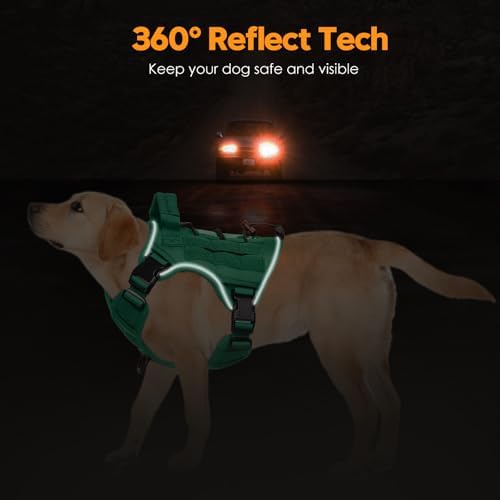Heavy-Duty Tactical Dog Harness - Image 5