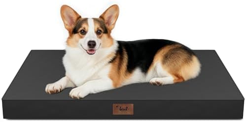 Outdoor Waterproof Orthopedic Dog Bed by TailStories