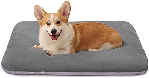 Magic Dog Super Soft Medium Dog Bed, 32 Inches Orthopedic Foam Pet Beds by MagicDog