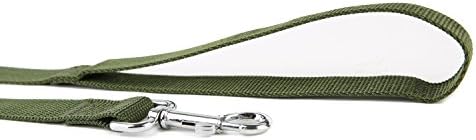 Nylon Dog Training Leash, Traction Rope, 4/5/6 Feet Long, 3/4 Inch 1 Inch Wide - Image 3