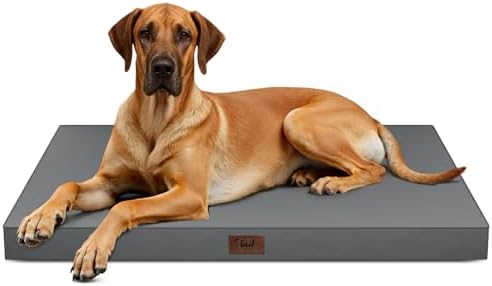 Jumbo Waterproof Orthopedic Dog Bed by TailStories