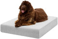 Barker Beds XL Orthopedic Dog Bed by BigBarker