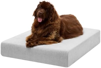 Barker Beds XL Orthopedic Dog Bed by BigBarker