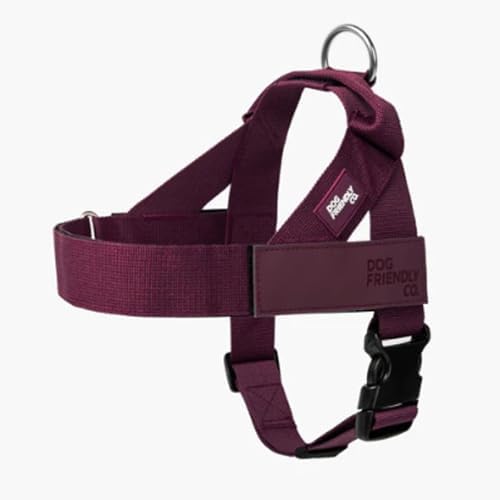 Dog Friendly Co. Dog Harness for Medium Sized Dogs by DogFriendly