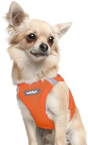 rabbitgoo Step-in Small Dog Harness, Puppy Vest by rabbitgoo