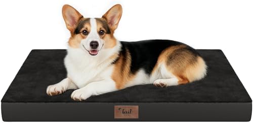 Outdoor Waterproof Orthopedic Dog Bed by TailStories