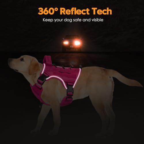 Heavy-Duty Tactical Dog Harness - Image 5