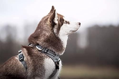 TRUE LOVE Adjustable No-Pull Dog Harness Reflective Pup Vest Harnesses - Image 5
