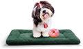 Dog Crate Pad Washable Dog Bed for Crate Small Cozy Mat 24-Inch Green by VERZEY