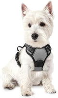rabbitgoo Dog Harness No Pull by rabbitgoo