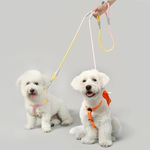 Double Dog Leash for Two Dogs Walking & Training Trangle Free - Image 6