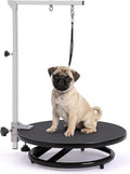 Dog Grooming Table with Arm by Phenfor