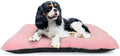Puppy Crate Beds for Small Dogs and Cats Ultra Soft 24x18 Dog Bed for Crate by ZihapgpzpPetSupplies