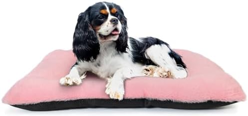 Puppy Crate Beds for Small Dogs and Cats Ultra Soft 24x18 Dog Bed for Crate by ZihapgpzpPetSupplies