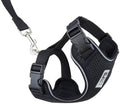 RC Pets Adventure Kitty Harness Includes Adjustable, Airmesh Fabric by RCPets