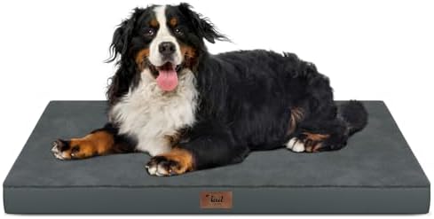 Outdoor Extra Large Dog Bed XXL by TailStories