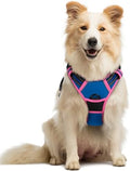 rabbitgoo Dog Harness, No Pull Medium Sized by rabbitgoo