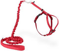 PetSafe Come With Me Kitty Harness and Bungee Leash, Harness by PetSafe