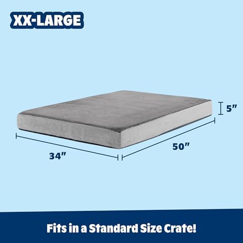 BarkBox Orthopedic Dog Bed - Image 3