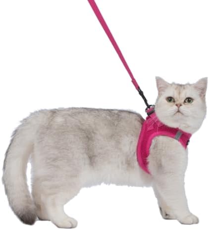 Voyager Step-in Air Cat Harness & Leash Set - Image 6