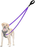 PetBonus Two Point Control Dog Leash, No Tangle Training Walking Leashes by Petbonus