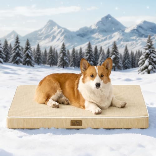 COZY KISS Cooling Orthopedic Dog Bed, Waterproof Lining by COZYKISS