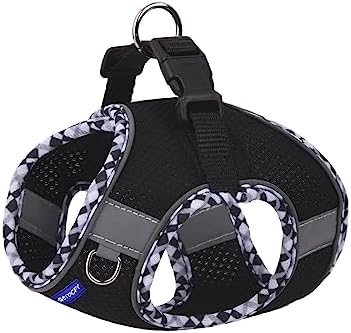 Step in Mesh Dog Harness and Leash Set Breathable Air Mesh Harness - Image 2