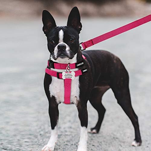No Pull Dog Harness, Leash & Collar Set, Adjustable Step-in Vest - Image 7