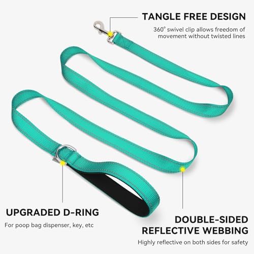 Joytale Reflective Dog Leash for Small Dogs, 4 FT x 3/4" - Image 5