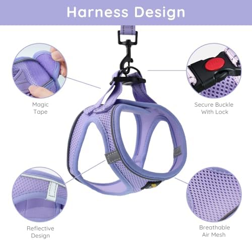 BELLA & PAL Small Dog Harness, Animal Harness - Image 2