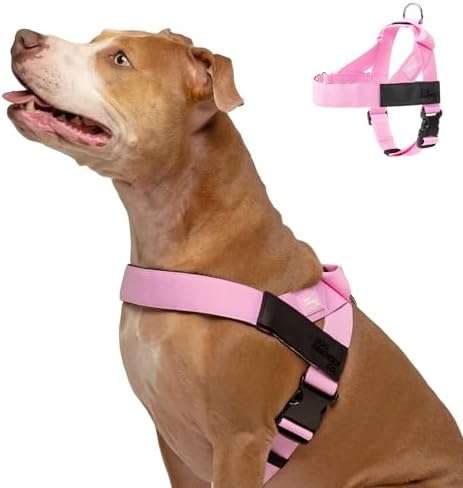 Dog Friendly Co. Dog Harness for Medium Sized Dogs by DogFriendly