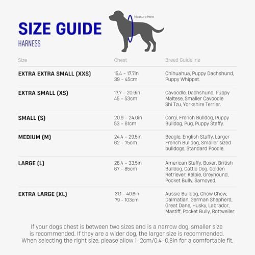 Dog Friendly Co. Dog Harness for Medium Dogs - Image 7