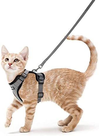 rabbitgoo Cat Harness and Leash Set, Escape Proof Vest by rabbitgoo