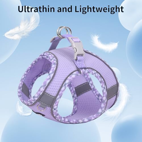 AIITLE Small Dog Harness and Leash Set - Image 4
