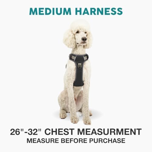 Embark No Pull Dog Harness, Reflective Adjustable Training Vest, No Choke - Image 2