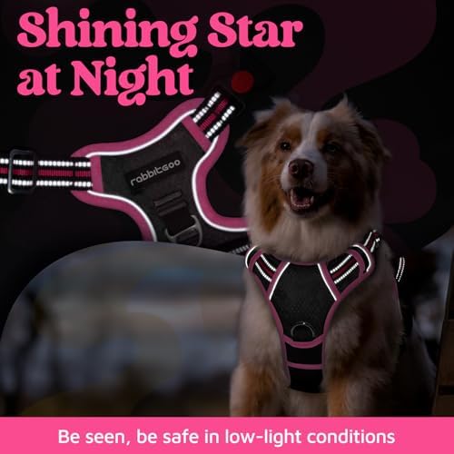 rabbitgoo Dog Harness Small Sized, No Pull 3 Buckles Easy On & Off - Image 6