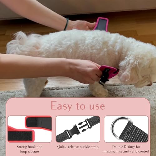 No Pull Dog Harness for Small, Medium & Large Dogs – Soft Padded, Adjustable - Image 3