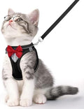 Cat Vest Harness and Leash Set, Escape Proof Kitten Harness Black M by NCMAMA