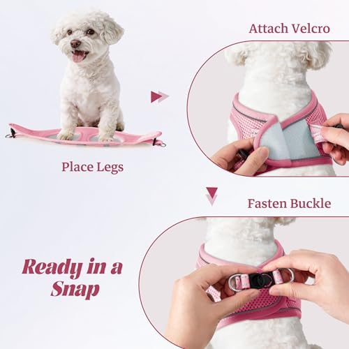 No Pull Dog Puppy Harness and Leash Set Reflective Mesh Vest X-Small - Image 4