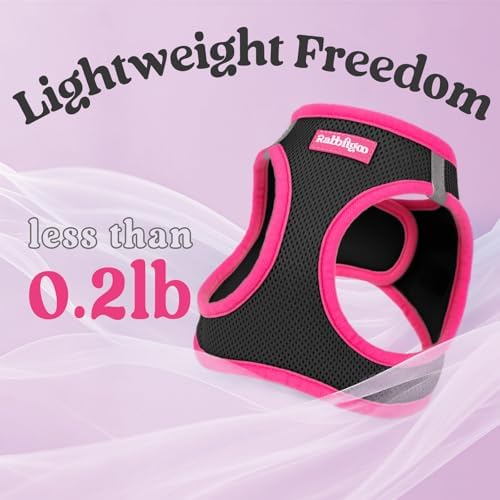 rabbitgoo Dog Harness Small Sized and Leash Set, Step in Soft Vest - Image 7