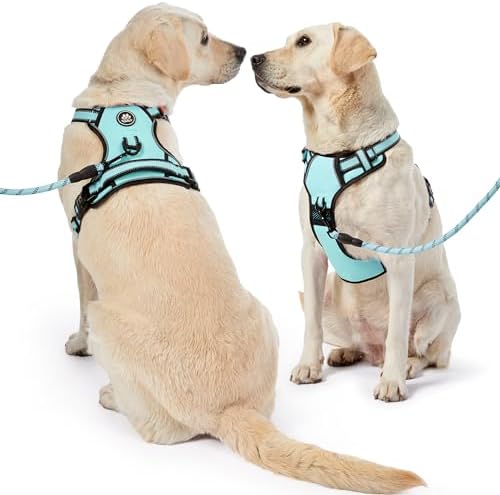NESTROAD Dog Harness for Small Sized Dog, No Pull Dog Vest Harness Set - Image 6