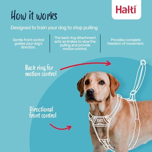 Halti No Pull Dog Harness | Size L, Burnt Orange - Image 2