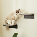 LIORCE 2 Set Cat Wall Steps by LIORCE