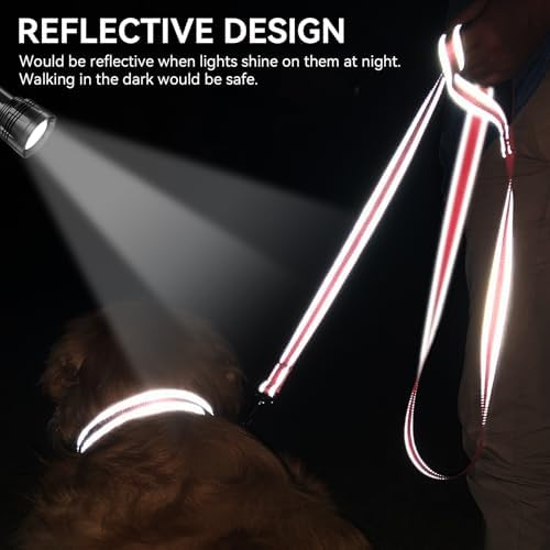 Joytale Reflective Dog Leash for Medium & Large Dogs, 5 FT x 1", Neon Pink - Image 4