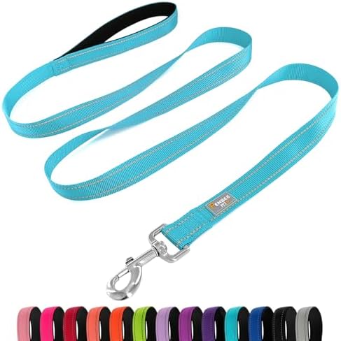 6 FT Basic Dog Leash for Small Dogs, Sky Blue by Penseepet